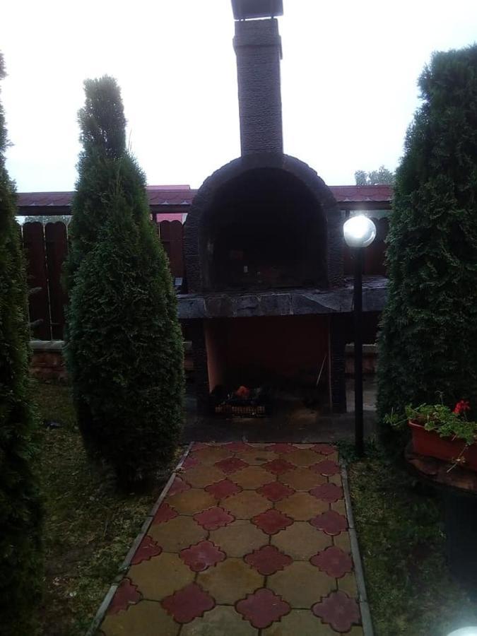 Pensiunea Denisa Sacalusesti Exterior foto